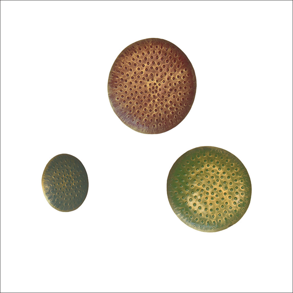 Set of 3 Wall Art Plates